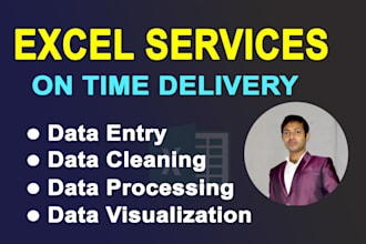 do excel services like data entry, cleaning, comparison, visuals and many more