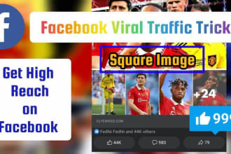 do vercel facebook redirections to your website posts