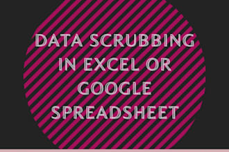 data scrubbing in excel or google spreadsheet jobs