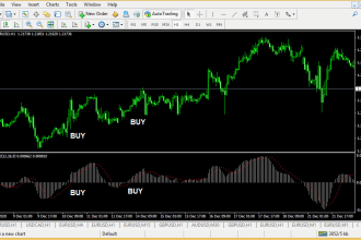 build custom expert advisor using mql for metatrader