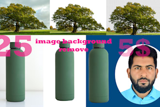 do background removal or remove objects, white, transparent,