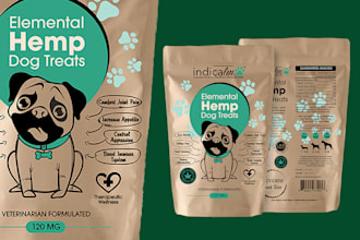 craft a modern and premium pouch bag design