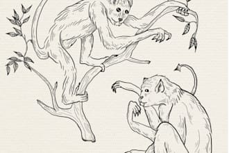 draw original illustration for your books and fanzine art