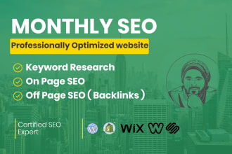 do complete website monthly on and off page SEO using high quality backinks