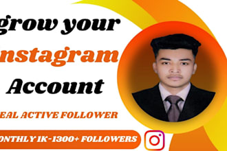 fast organic instagram growth