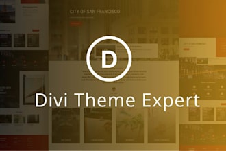 build a professional website with divi theme or divi builder