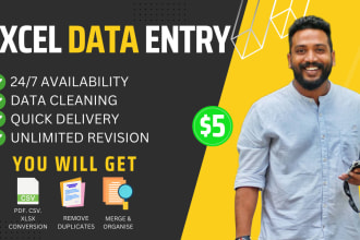 clean, organize, merge and format excel, CSV data and do data entry