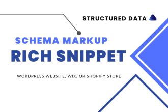 setup schema markup, rich snippet, and structured data