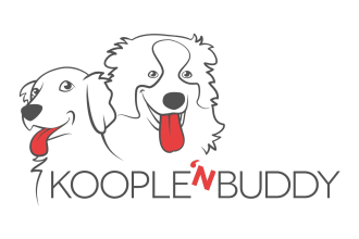 design awesome dogs, pet care, animals logo in 14 hours