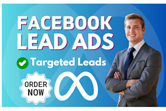 manage facebook ads campaign for lead generation