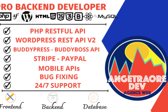 write api or integrate, payment gateway