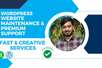provide maintenance and support for wordpress website