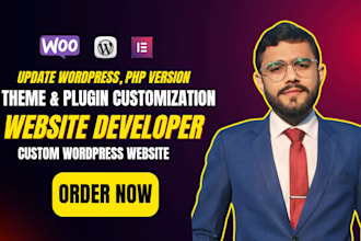 update php, wordpress and do plugin and theme customization as website developer