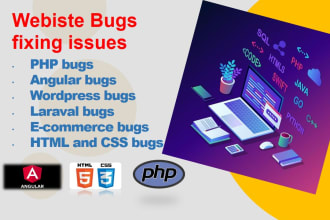 fix minor and major bugs in websites and make website fast