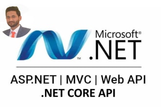 dot net core, csharp, mvc, scripts and bug fix developer