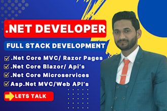 dot net core, csharp, mvc, scripts and bug fix developer