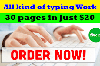 do a fast typing job, retype pages, pdf to word, your typist