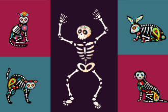do mexican lucha hand drawn sugar skull alebrijes logo