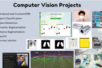 do machine learning, computer vision, deep learning and yolo projects