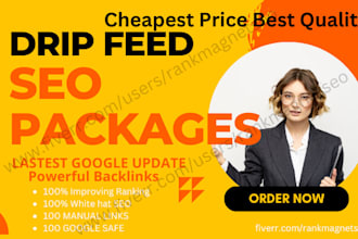 provide a monthly SEO package with drip feed link building for google