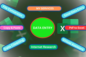 do data entry, data cleaning, pdf to excel, web search and excel data entry