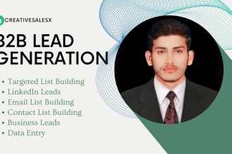 do b2b targeted linkedin local sales lead generation and data entry
