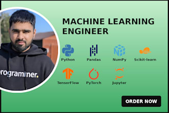 your machine learning engineer do projects in python