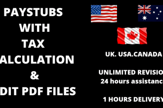 create professional stubs, paystubs and payroll