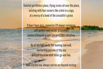write a professional poem for you