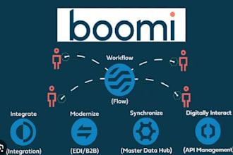 perform administration and development for boomi