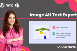 write image alt text or alt tags for wordpress, shopify and wix