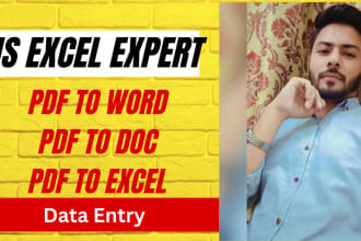 be your excel expert, I will do data entry, cleaning, and formatting