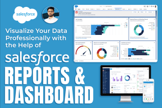 develop professional salesforce reports and dashboards to