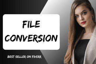 convert pdf to word, pdf to excel, copy paste, data entry