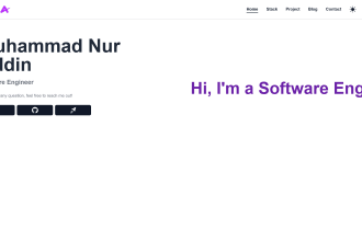 develop web portal using angular and nestjs or django
