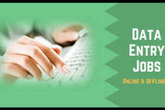 be your virtual assistant for data entry and lead generation
