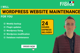 wordpress website maintenance website manager