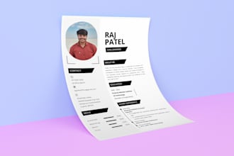 professional resume or CV design