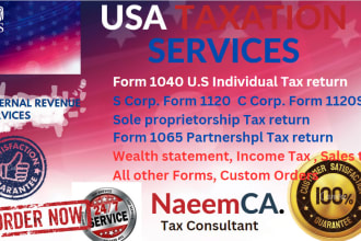 prepare and efile USA tax return for individual, business and corporate