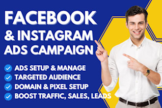 setup and manage facebook and instagram ads campaign