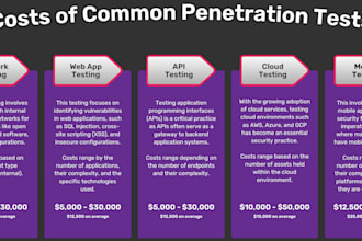 perform a penetration test