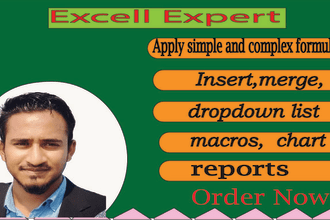 provide excel data cleaning, formatting, and graph and chart data transferring