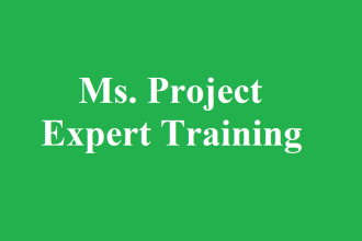 provide microsoft project training