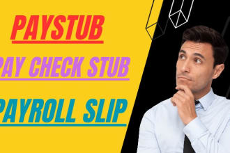 provide paystub paycheck stub payroll slip within 1 hour