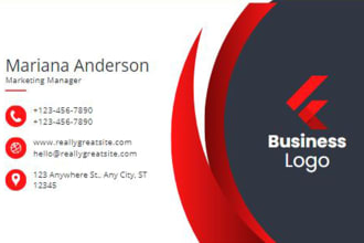 make custom company logo design and business card