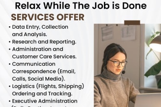 be your personal business virtual assistant or  data entry
