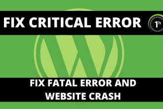 fix critical error on website, fatal error and crash on your website