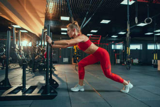 do gym schedule plan for male female and workout meal plan