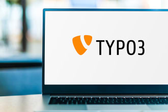 fix bugs in typo3 website