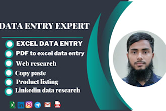 do excel data entry, web research and perfectly linkedin data collection